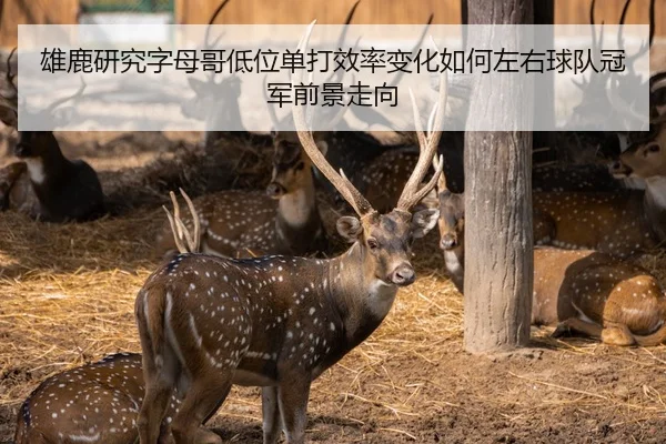 雄鹿研究字母哥低位单打效率变化如何左右球队冠军前景走向