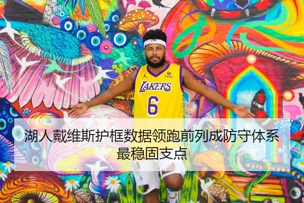 湖人戴维斯护框数据领跑前列成防守体系最稳固支点