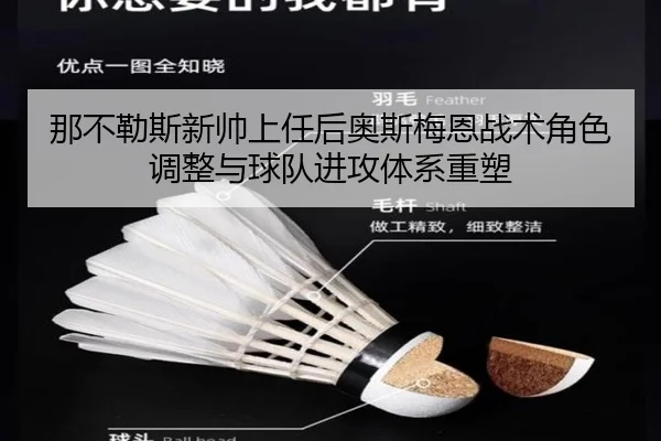 那不勒斯新帅上任后奥斯梅恩战术角色调整与球队进攻体系重塑