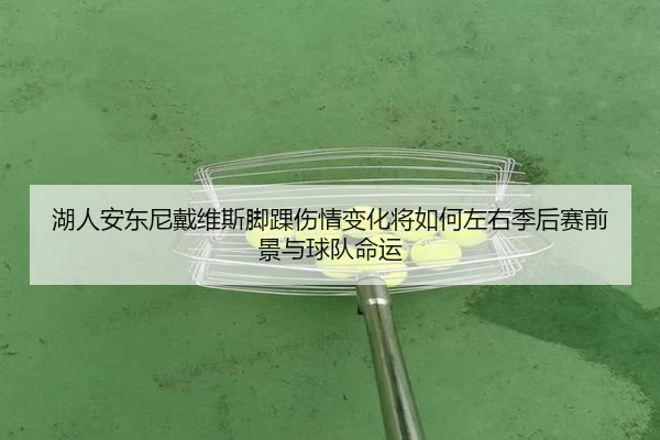 湖人安东尼戴维斯脚踝伤情变化将如何左右季后赛前景与球队命运
