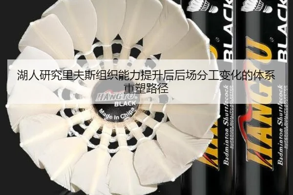 湖人研究里夫斯组织能力提升后后场分工变化的体系重塑路径