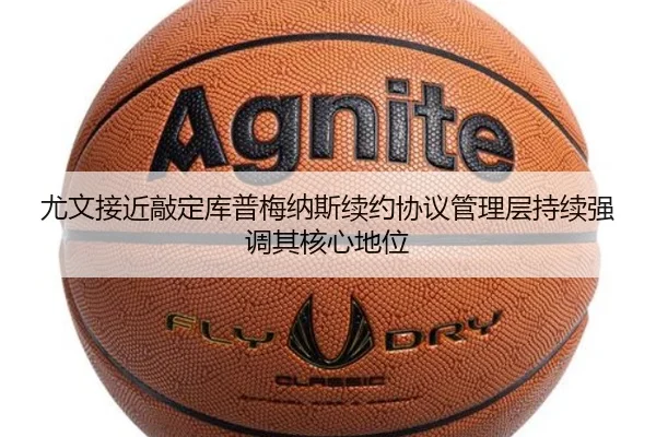 img_1783325453900_465_1_750.jpg