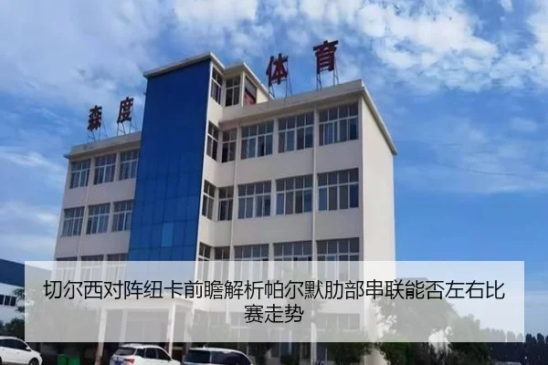 切尔西对阵纽卡前瞻解析帕尔默肋部串联能否左右比赛走势